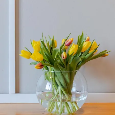 Отель Garni - Haus 54 Цингст