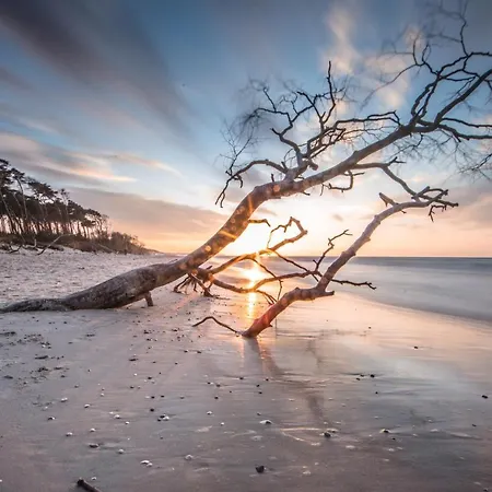 Garni - Haus 54 Отель Цингст