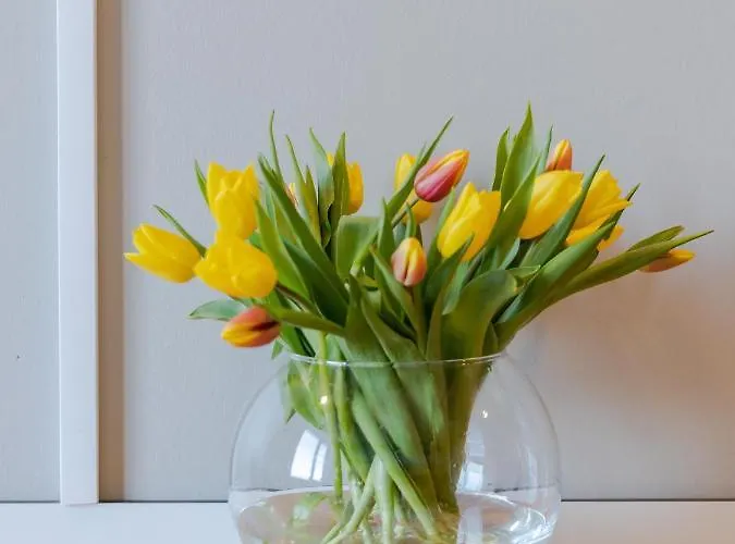 מלון Garni - Haus 54 זינקסט